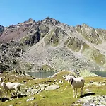 Lejlighed Melisande 2 By Interhome Sölden