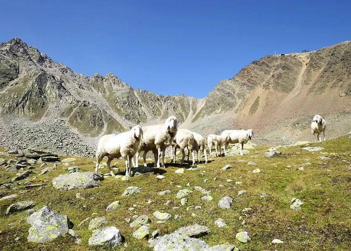 Melisande 2 By Interhome Lejlighed